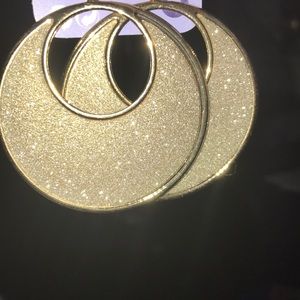 NWT- Earrings GORGEOUS AND LIGHT WEIGHT 💎